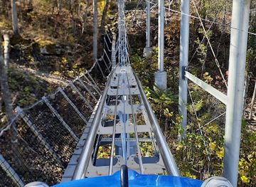 missouri/table-rock-lake/attraction/runaway-mountain-coaster-flyaway-ziplines-at-branson-mountain-adventure