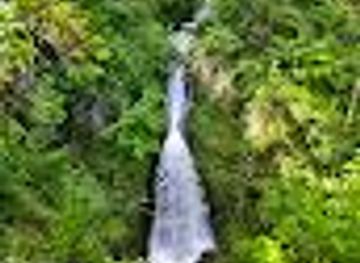 oregon/mount-hood-national-forest/attraction/shepperd-s-dell-falls