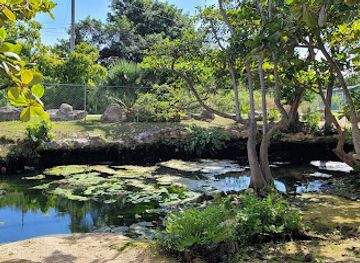 the-bahamas/lucaya/attraction/mermaid-pond