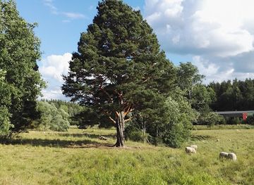 sweden/linkoping/attraction/domprostehagen