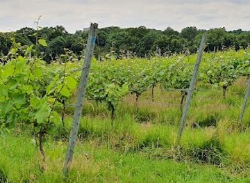 united-kingdom/london/attraction/forty-hall-vineyard