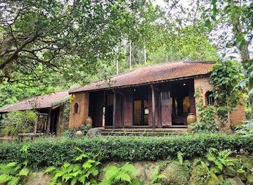 vietnam/hoi-an/attraction/dong-dinh-art-museum