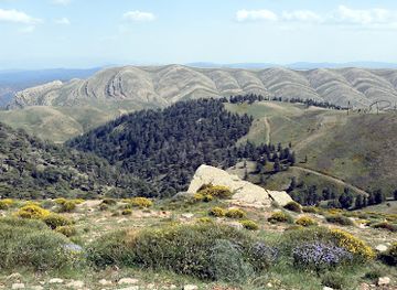 algeria/aures-mountains/attraction/djebel-chelia