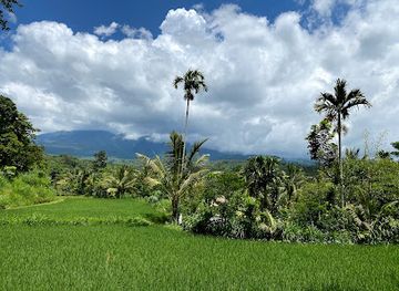 indonesia/west-nusa-tenggara/attraction/tetebatu-waterfall