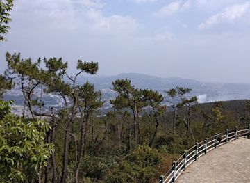 india/shillong/attraction/new-shillong-view-point