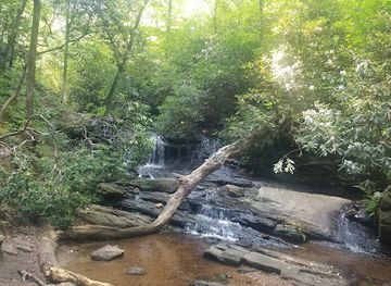 south-carolina/upstate/attraction/pleasant-ridge-falls
