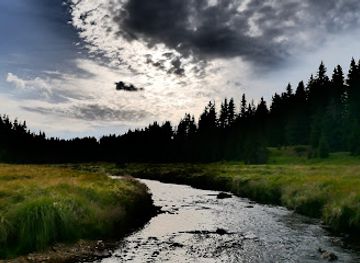 czechia/sumava/attraction/bohemian-forest