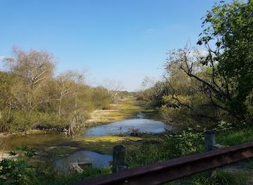 texas/brownsville/attraction/resaca-de-la-palma-state-park