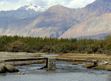 india/ladakh/attraction/hunder-sand-dunes-double-hump-camel-ride
