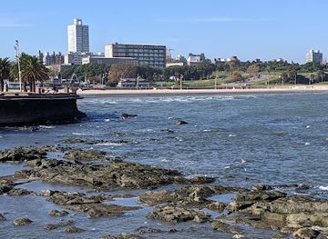 uruguay/montevideo/attraction/rambla-republica-argentina