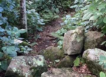 rhode-island/arcadia-management-area/attraction/bradner-preserve