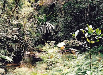 madagascar/atsinanana/attraction/chute-sacree-trail