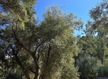 california/santa-barbara/attraction/ojai-olive-oil