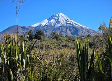 new-zealand/taranaki/attraction/potaema-track
