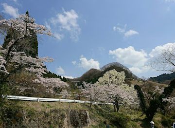 japan/kyushu/attraction/takamori-senbonzakura
