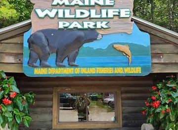 maine/brunswick/attraction/maine-wildlife-park