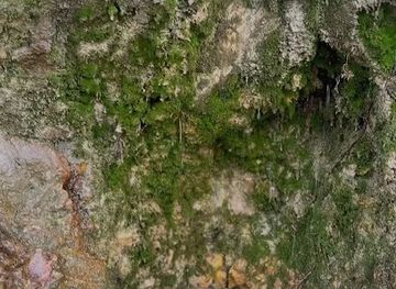 jordan/jerash/attraction/ain-almaa