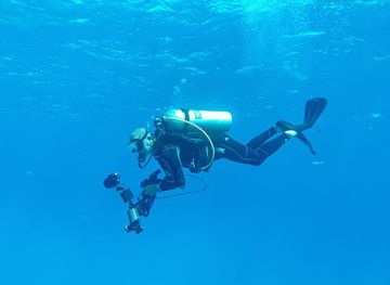 french-polynesia/society-islands/attraction/rangiroa