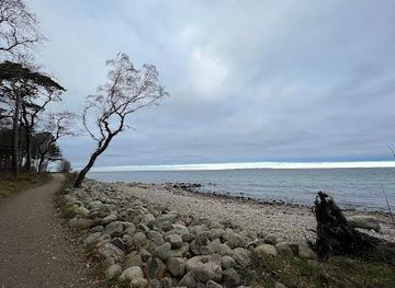 denmark/hornbæk/attraction/snorkelstien-ved-hornbak-plantage