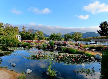 california/temecula/attraction/rose-haven-heritage-garden