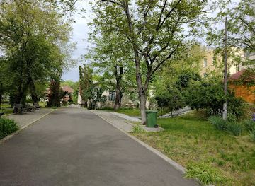 romania/iasi/attraction/poni-cernatescu-museum