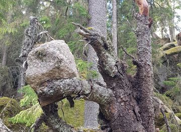 sweden/ostergotland/attraction/ycke