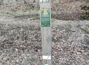 slovenia/celje/attraction/dom-zlatih-ribic