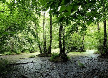 hungary/matra-mountains/attraction/fekete-to
