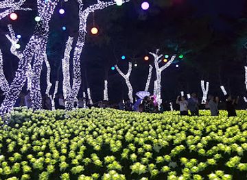 south-korea/north-chungcheong-province/attraction/danyang-moss-tunnel