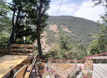 armenia/dilijan/attraction/zip-line-tsaghkadzor