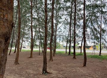 malaysia/kuala-terengganu/attraction/pantai-seberang-takir