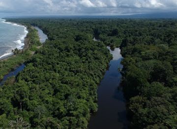 costa-rica/corcovado-national-park/attraction/osa-outdoors-adventures