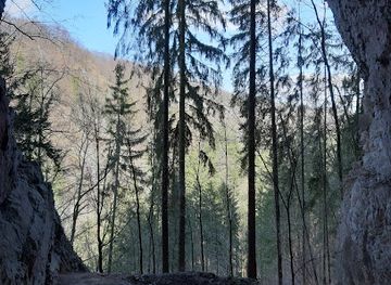 czechia/moravian-karst/attraction/knight-s-cave