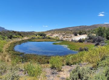 south-africa/de-hoop-nature-reserve/attraction/anysberg-nature-reserve