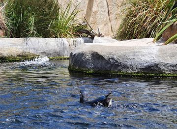 new-zealand/hawke-s-bay/attraction/national-aquarium-of-new-zealand