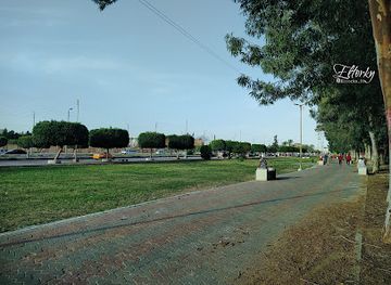 egypt/ismailia/attraction/the-forest-garden