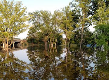 louisiana/pearl-river-wildlife-management-area/attraction/loggy-bayou-wildlife-management-area
