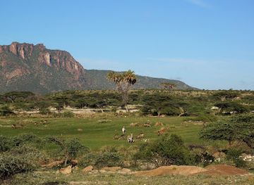 kenya/laikipia-plateau/attraction/shaba-national-reserve