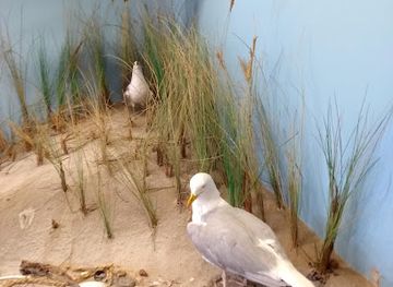 germany/north-frisia/attraction/naturzentrum-amrum