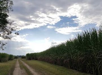 louisiana/houma/attraction/ardoyne-plantation