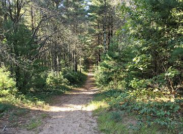 minnesota/big-woods/attraction/sand-dunes-state-forest