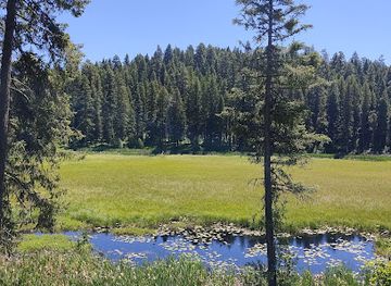 idaho/ponderosa-state-park/attraction/lily-marsh-trailhead