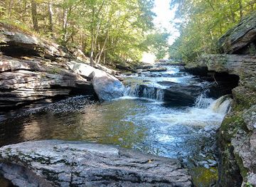 connecticut/windham-county/attraction/diana-s-pool