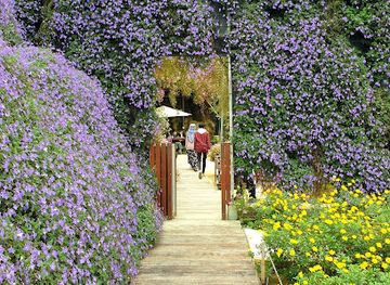 malaysia/kelantan/attraction/cameron-highlands-flora-park