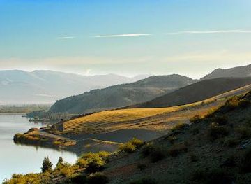 new-zealand/queenstown/attraction/misha-s-vineyard-tasting-room