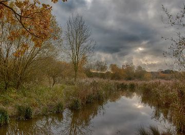 united-kingdom/bedfordshire/attraction/oughtonhead-common-nature-reserve