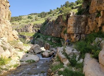 jordan/ajloun-castle/attraction/wadi-zuqiq
