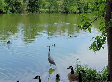 illinois/joliet/attraction/washington-park