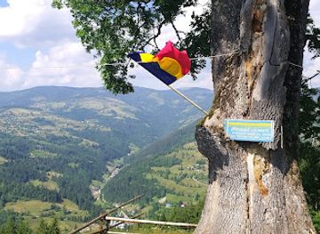 romania/apuseni-mountains/attraction/view-point-frasinul-lui-horea