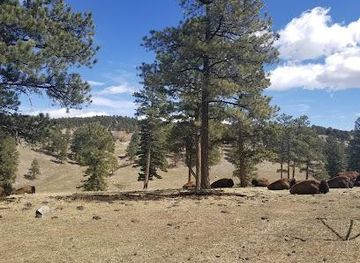 colorado/boulder/attraction/genesee-park